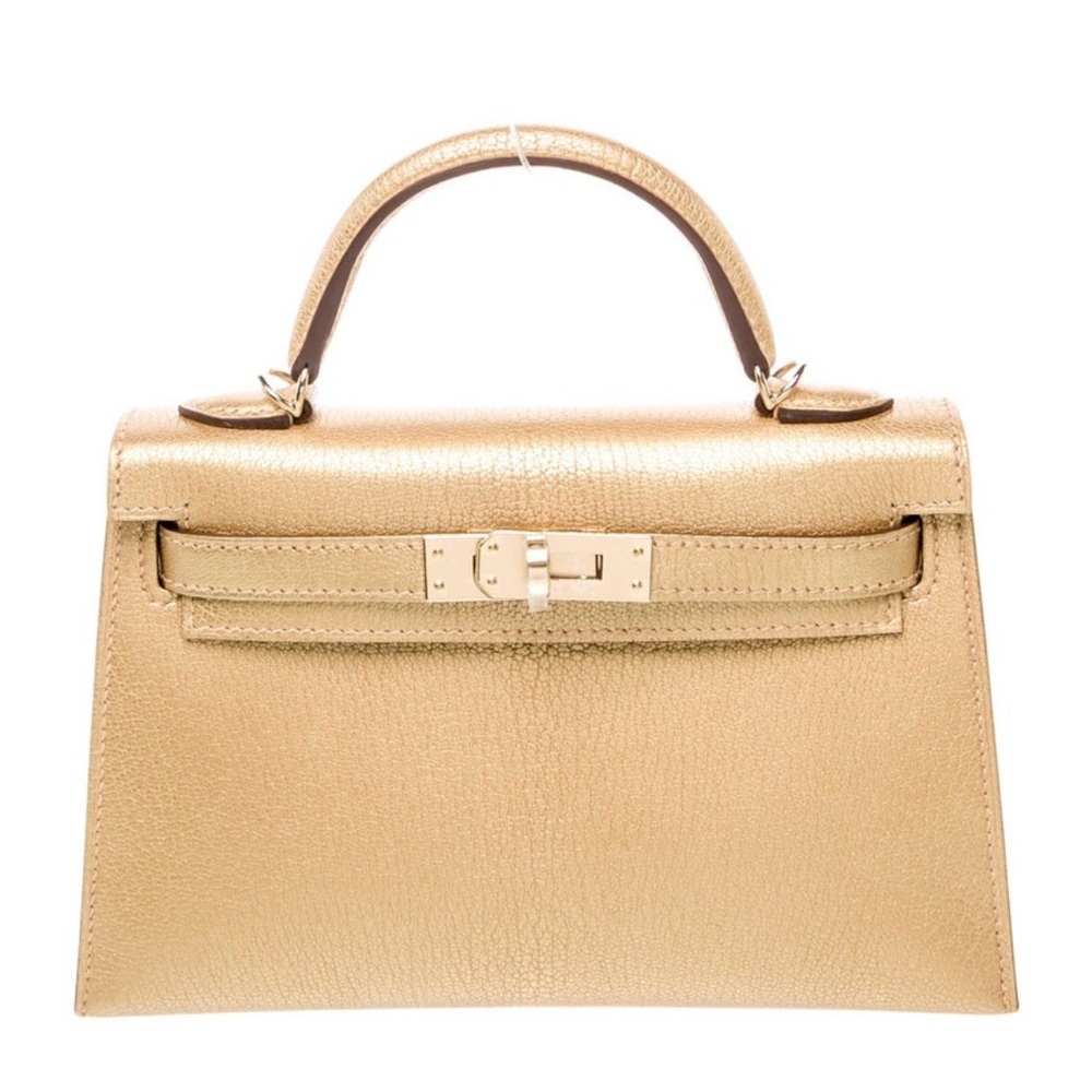 Hermès 2025 Chevre Chamkilight Mini Kelly I| Sellier 20